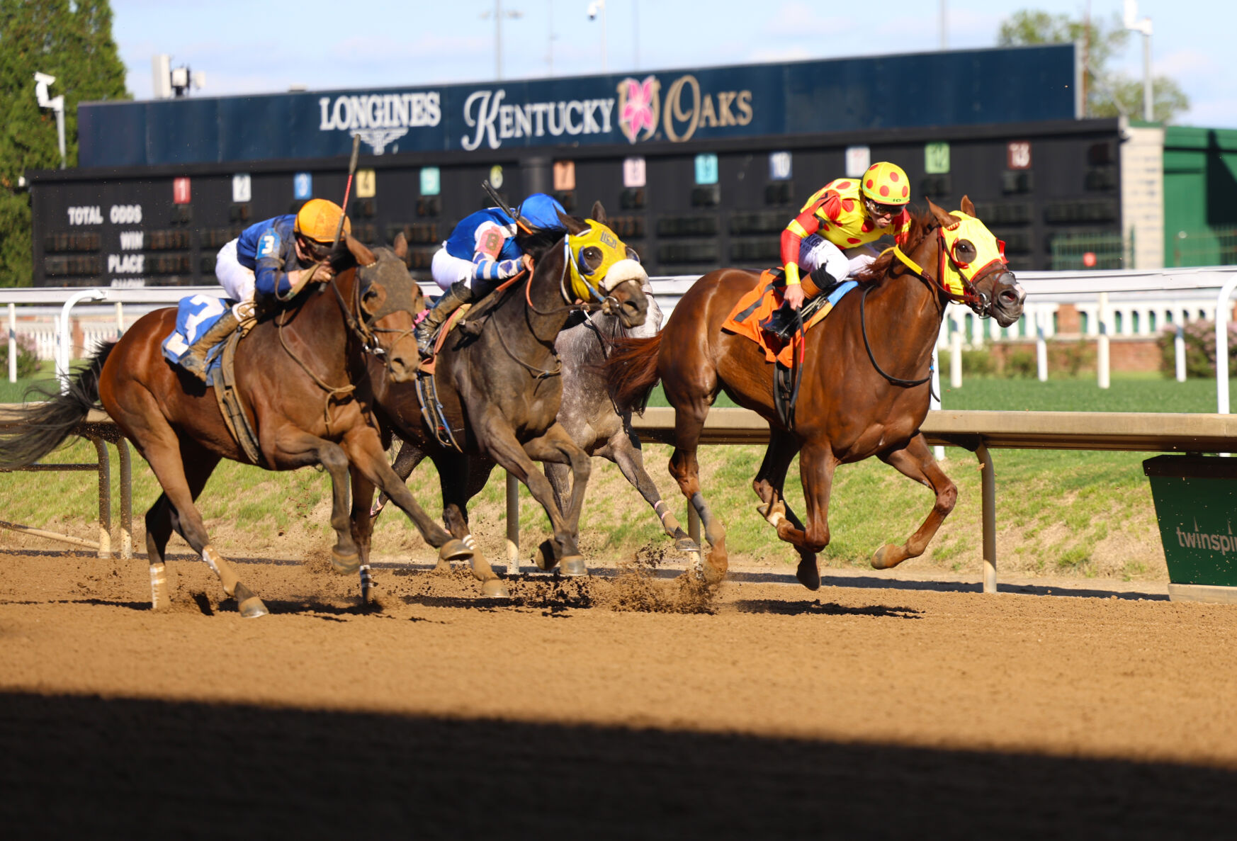 Horses near final stretch - April 26.JPG